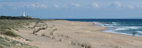 Playa de la Mangueta