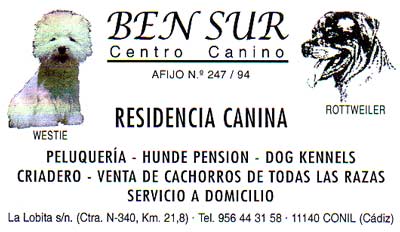 Ben Sur