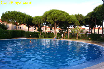 Piscina de los chalets adosados Los Drogos