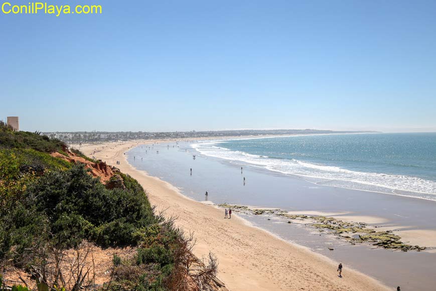 playa la barrosa