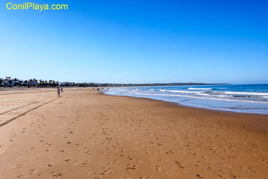 playa la barrosa