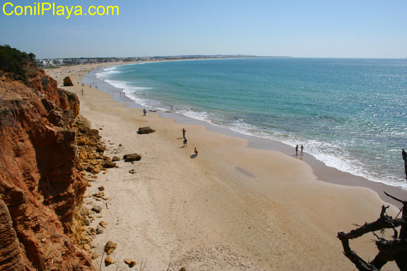 Vista general de la playa de la Barrosa.