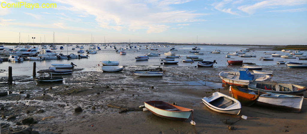 Barcos amarrados y barcas en el caño de Sancti Petri. 12 de septiembre de 2015