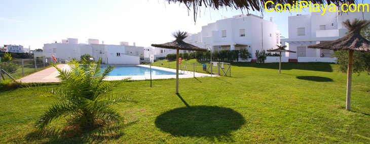 La piscina está el jardín y está rodeada de césped.