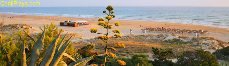 Playa de El Chorrillo