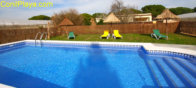 Piscina de los apartamentos con tumbonas y sombrilla