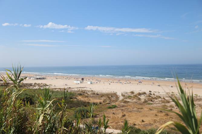 conil playa
