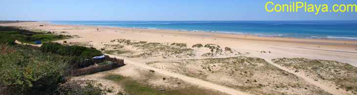 Playa de Conil