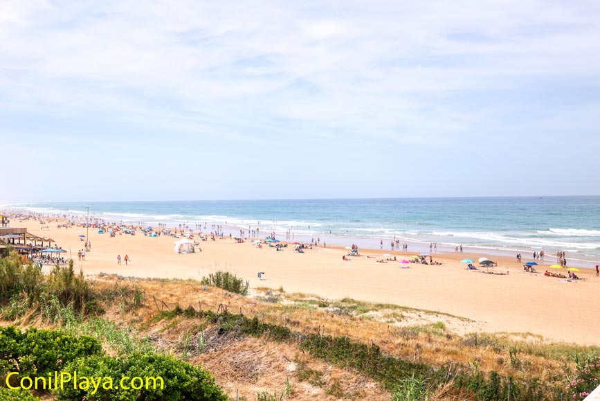 Vista de la playa fontanilla Conil desde una zona elevada con dunas y vegetación