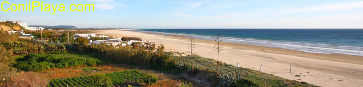 Playa de Conil