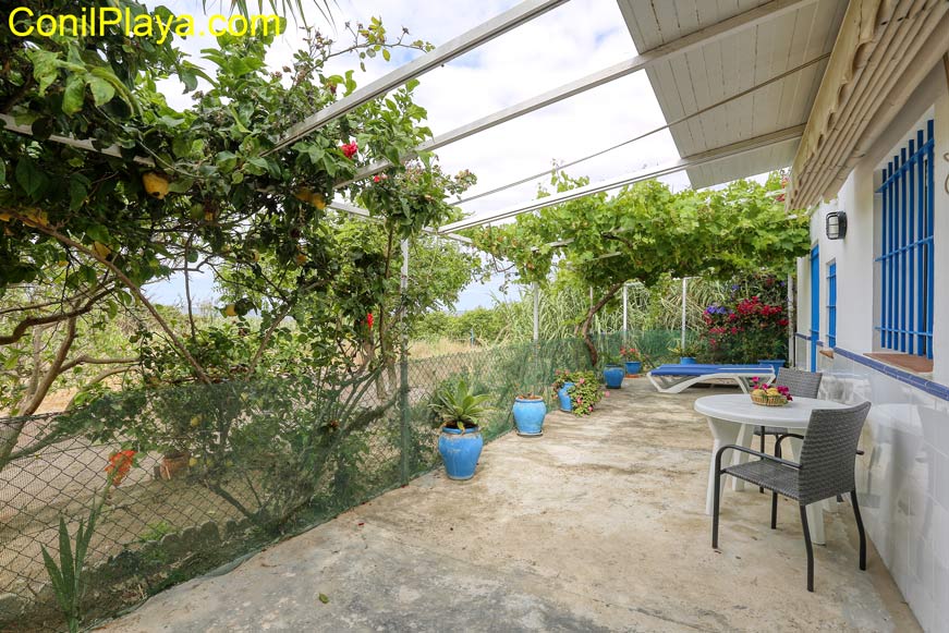 terraza cubierta y huerto