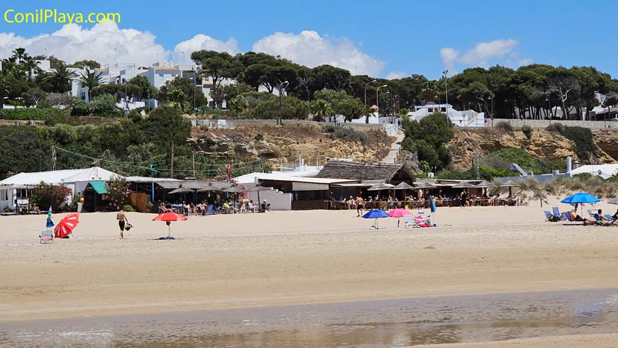 Playa de Conil donde sen encuentra