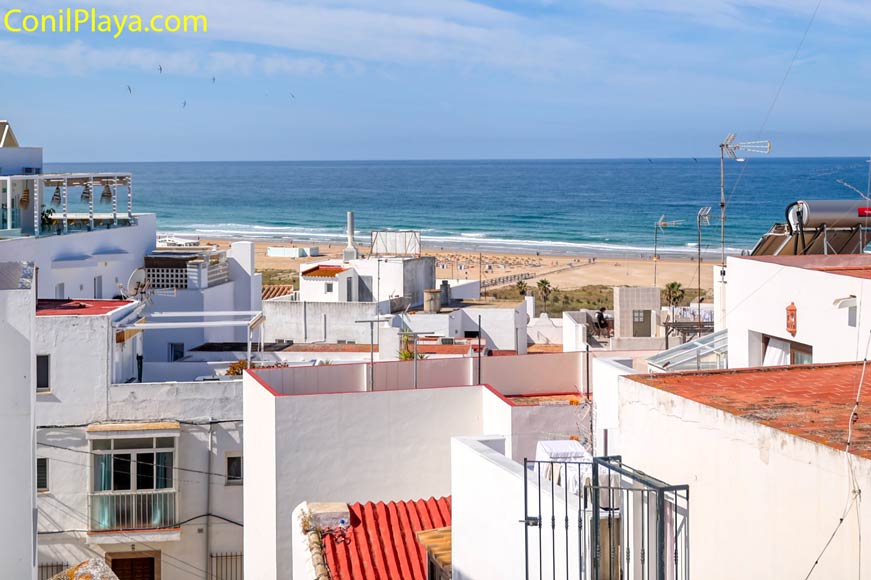 conil