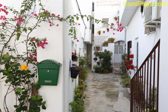 patio con macetas de flores