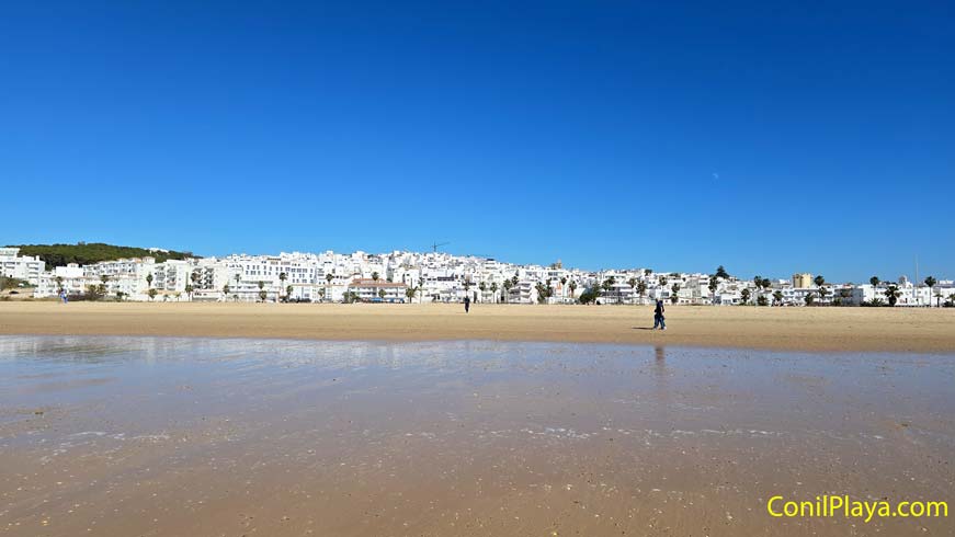 conil