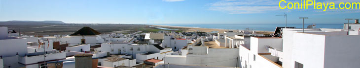 Conil.