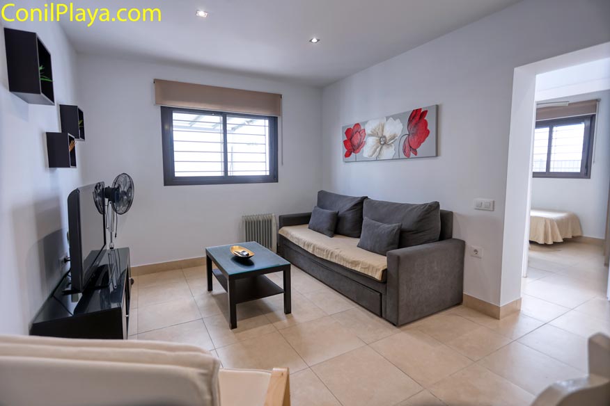 Sofá gris, mesa de centro negra, televisor, ventilador y cuadro floral en salón iluminado.