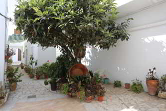 patio de la casa en Conil cerca de la playa