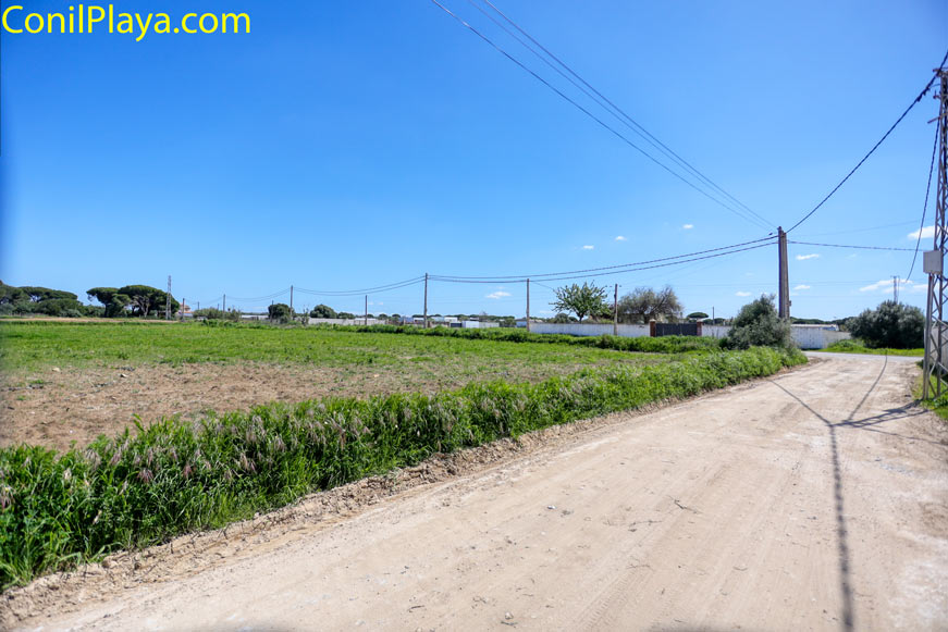 Camino rural de tierra que conduce a la propiedad vacacional
