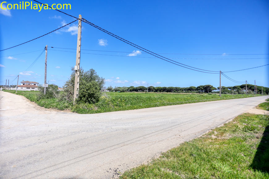 Camino de acceso a la vivienda rodeado de campo y naturaleza