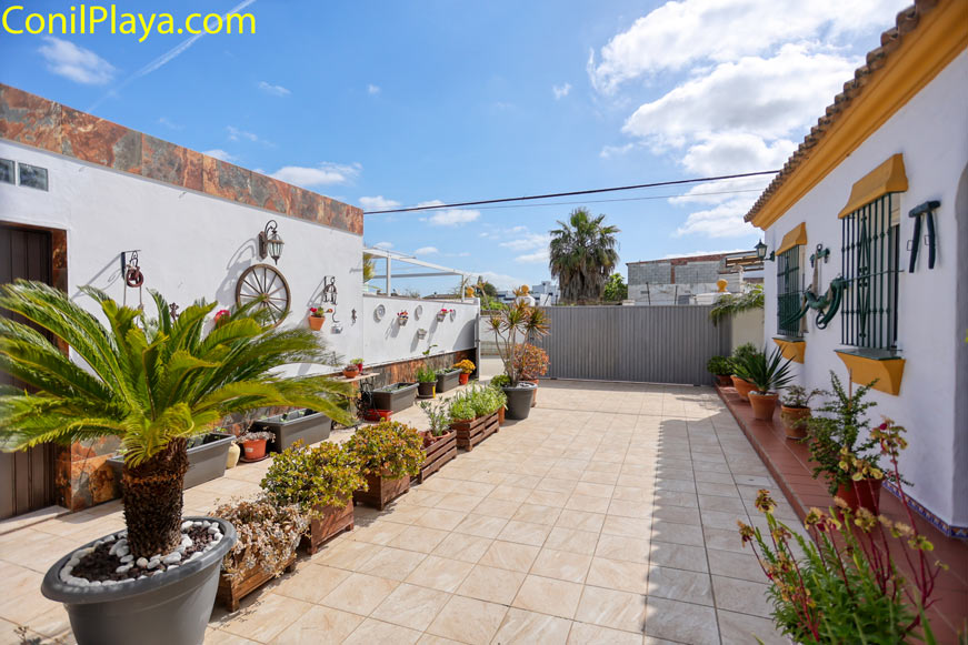 Patio con la zona de aparcamiento y plantas decorativas