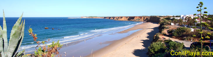 Playa de la Fuente del Gallo, Conil de la Frontera