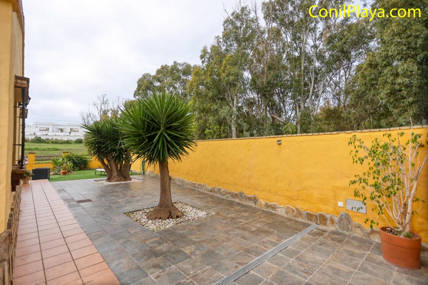 Patio exterior con suelo de baldosas, pared amarilla, palmeras y plantas en macetas.
