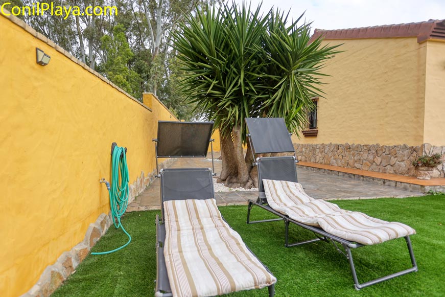 Dos tumbonas con cojines sobre césped artificial junto a una pared y una planta grande.