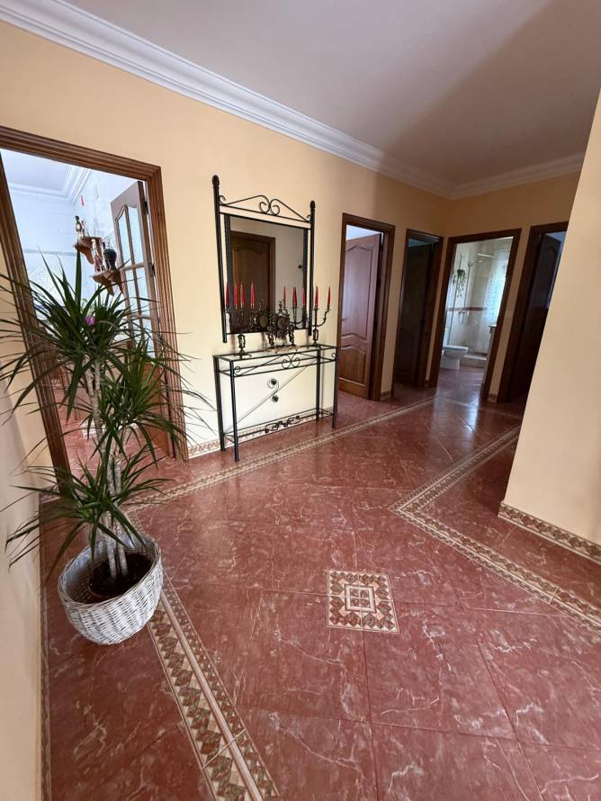 distribucion distribucion