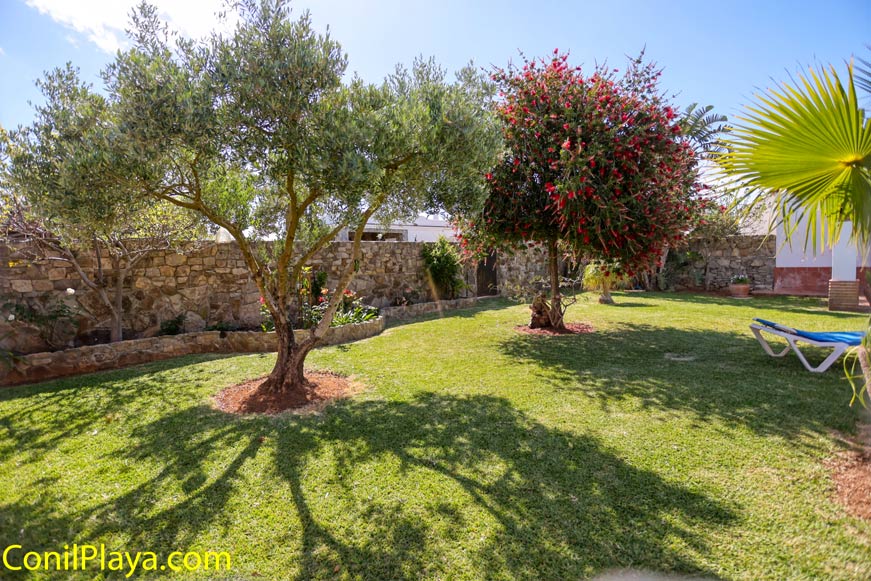 Jardín privado con arboles, sombra, césped y muro de piedra visto desde dentro