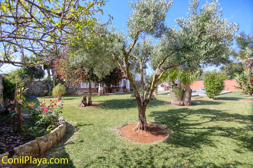 Jardín con césped natural, árboles y sombra visto desde una esquina del terreno
