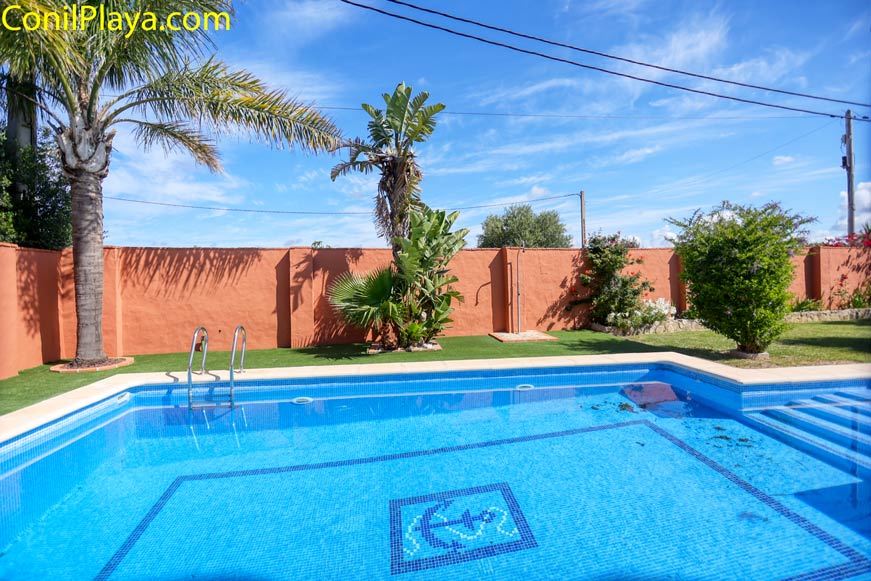 Piscina privada junto a jardín con palmeras y setos verdes