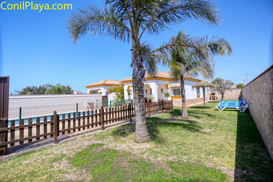 Jardín con palmeras y piscina Jardín con césped, palmeras, tumbonas y piscina vallada