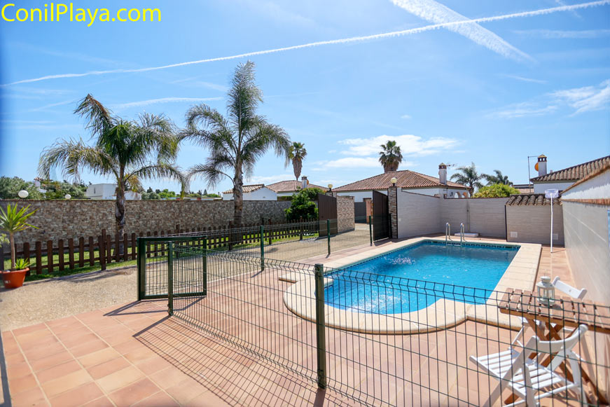 Piscina vallada exterior Piscina vallada junto a terraza y zona ajardinada con palmeras