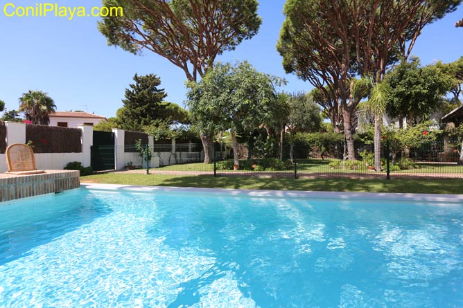 piscina y jardín del chalet