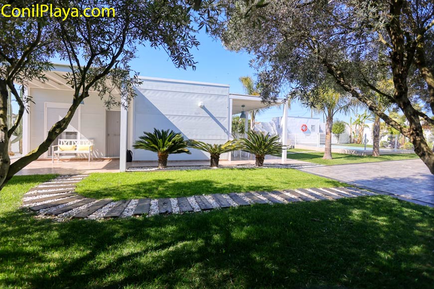 jardín con césped y olivos