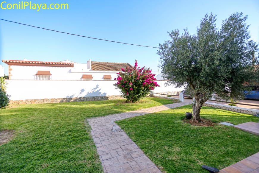 Jardín con césped, árbol y arbusto con flores visto desde la entrada