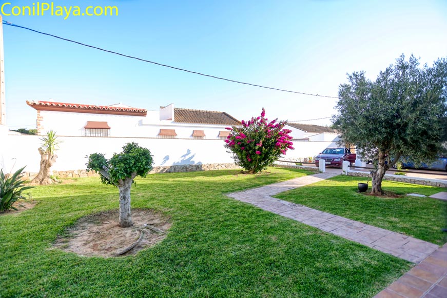 Jardín frontal con césped, árbol podado y caminos desde la entrada