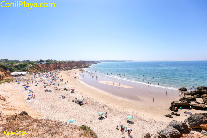 Cala del Aceite en Conil, playa de arena con bañistas y sombrillas vista desde la zona elevada