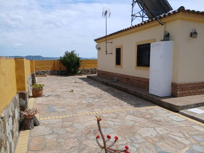 Patio posterior de la casa con suelo de piedra y plantas en macetas
