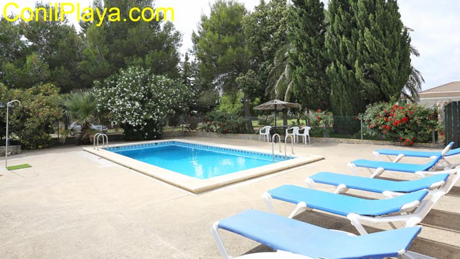 Piscina y al fondo el jardín