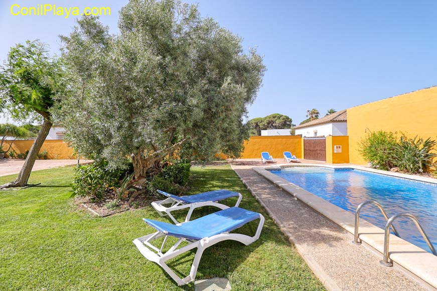 Vista exterior del jardín y de la piscina del chalet en Conil de la Frontera