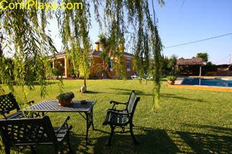 Mesa de jardin bajo el arbol del jardin.