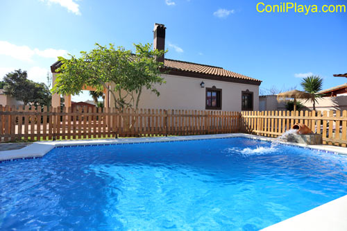 Alquiler de chalet en Conil con piscina directamente por particulares