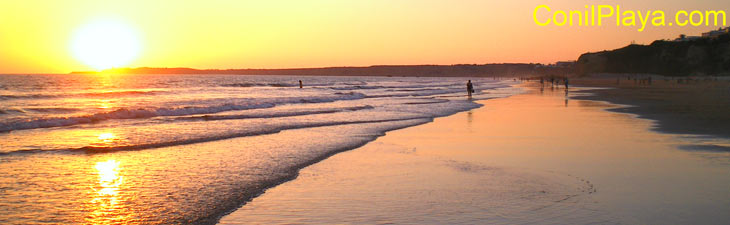 Ver las playas de Conil.