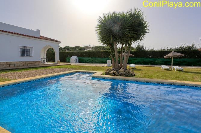 Chalet en alquiler en Conil con piscina