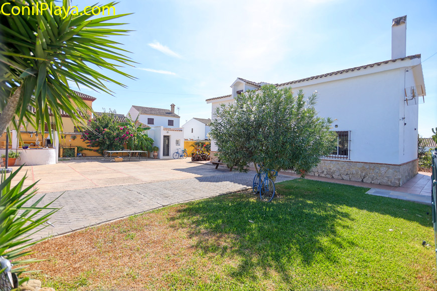 jardin cesped