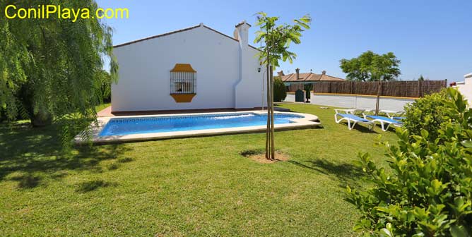 Piscina y jardín con césped