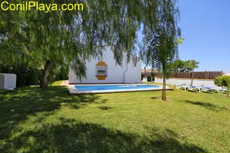 piscina con arboles