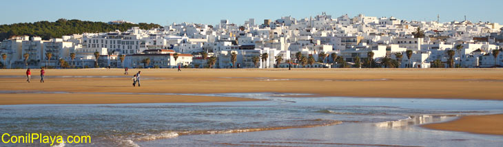 Conil